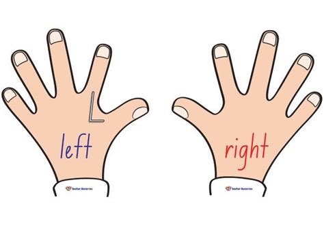 Left Hand Right Hand Chart Two Handed Process Left And Right Hand Template - Left And Right Hand Template
