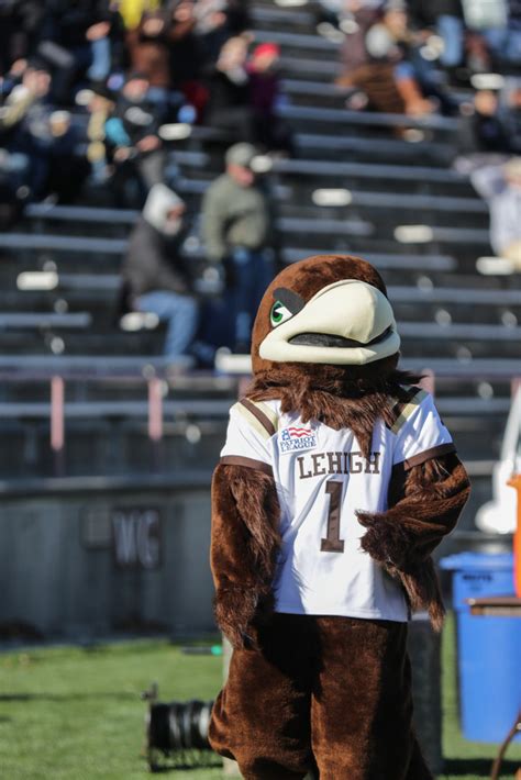 lehigh university mascot - jiosys.com