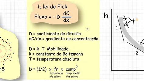 Lei De Fick