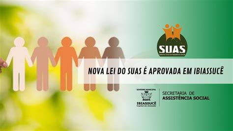 Lei Do Suas