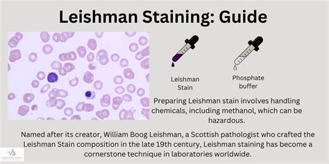 Leishman Stain Procedure
