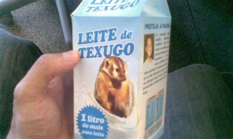 Leite De Texugo