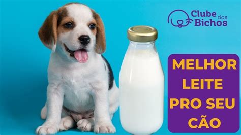 Leite Para Cachorro