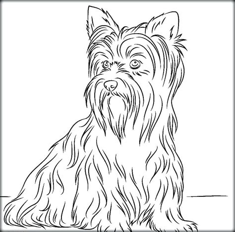 Lemon Coloring Pages Printable Yorkie Coloring Pages - Printable Yorkie Coloring Pages