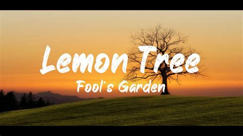 Lemon Tree Text