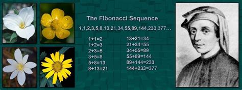 leonardo fibonacci biography summary