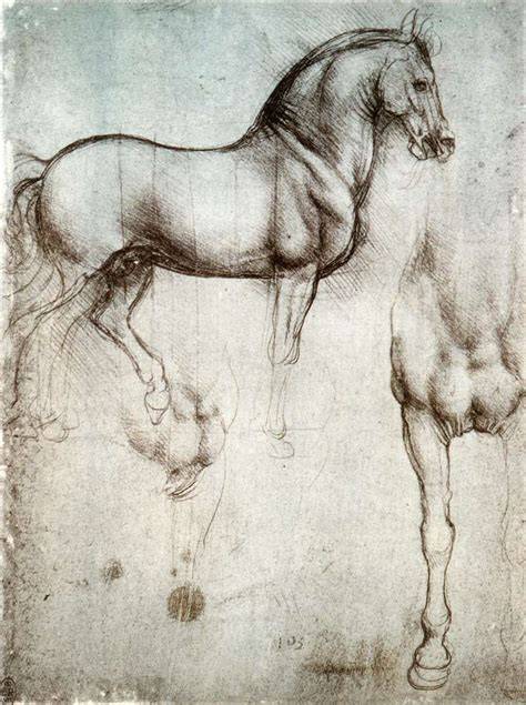 leonardo horse in practice 5 grade