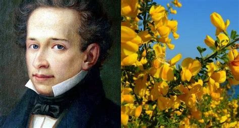 Leopardi La Ginestra