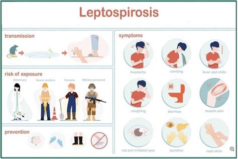 Read Online Leptospirosis Web Oie 