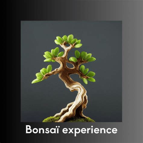 les bonsaa