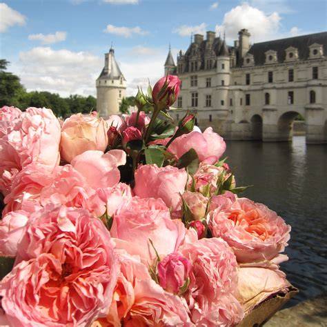 les bouquets de chenonceau