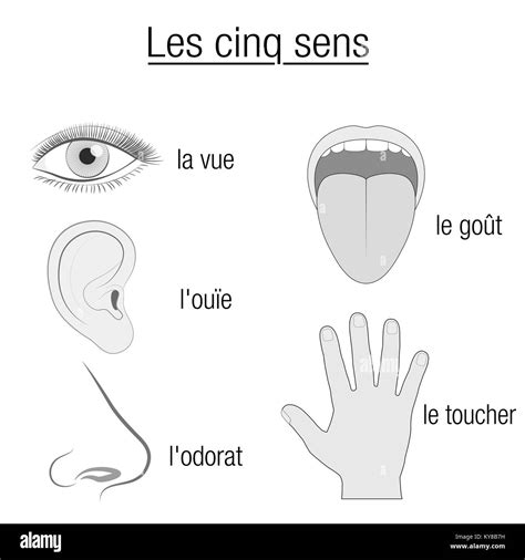 Les Cinq Sens