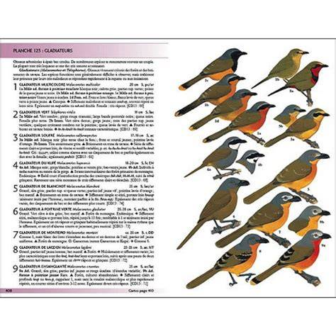 les oiseaux de l ouest africain