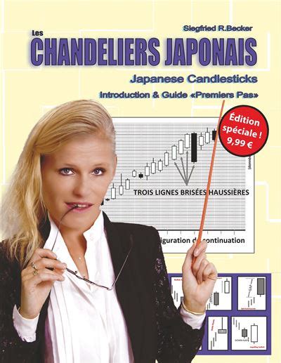 Read Online Les Chandeliers Japonais Introduction Guide Premiers Pas 