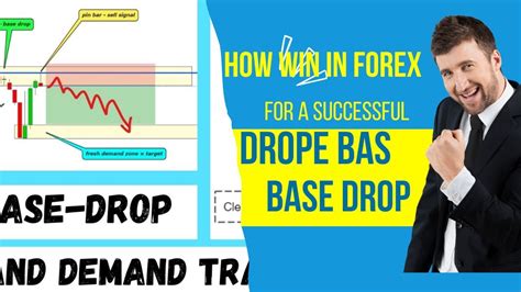 lesson 1 the drop base rally pattern