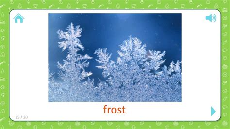 lesson 1.7 - frost Flashcards Quizlet