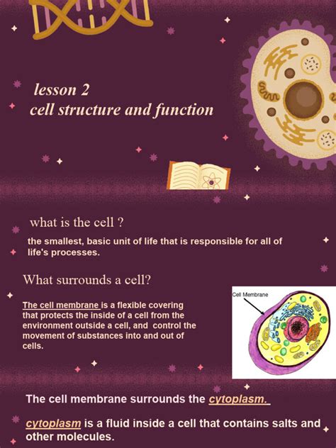 Lesson 2 The Cell