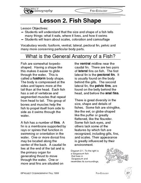 Lesson Plan Fish Forms California Academy Of Sciences Fish Lesson Plans For Kindergarten - Fish Lesson Plans For Kindergarten