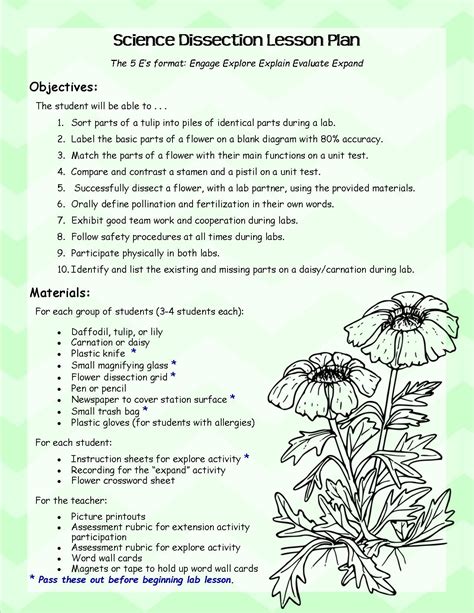 Lesson Plan Parts Of A Flower Lesson Plan - Parts Of A Flower Lesson Plan