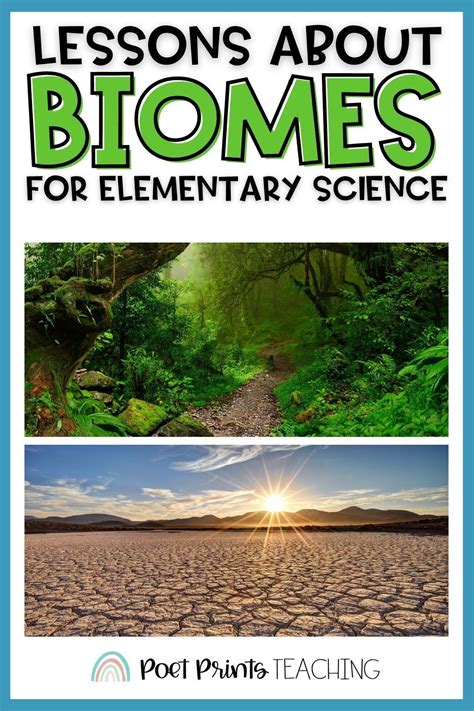 Lesson Plans Biome Bio5 Org Biomes 5th Grade - Biomes 5th Grade