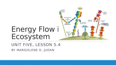 Download Lesson 4 Energy Flow In Ecosystems Middlebrook Center 