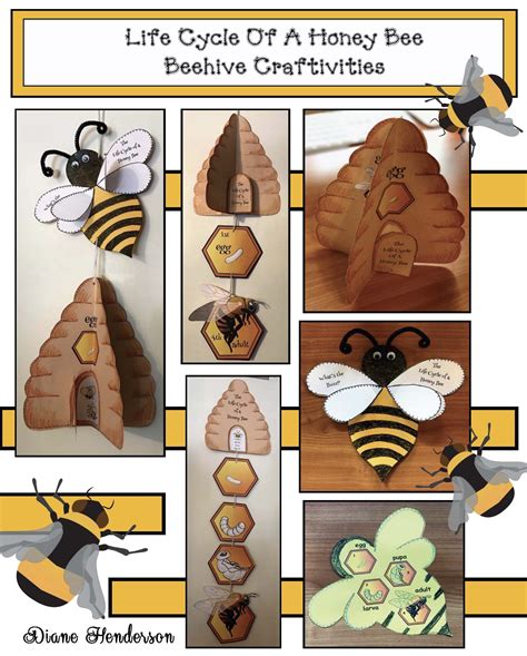 Lessons About Bees Teachersmag Com Bees Kindergarten - Bees Kindergarten