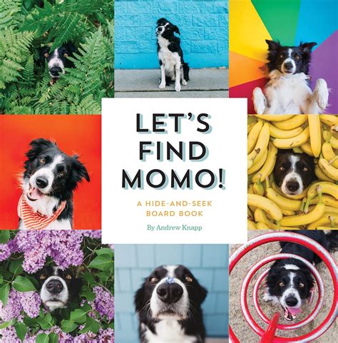 Lets Find Momo A Hide And Seek Board Book