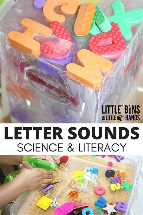 Letter Sounds Activity And Science Experiment Little Bins Letter D Science Experiments - Letter D Science Experiments