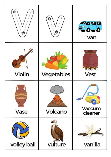 Letter V Words For Kindergarten Amp Preschool Kids Kindergarten Words That Start With V - Kindergarten Words That Start With V
