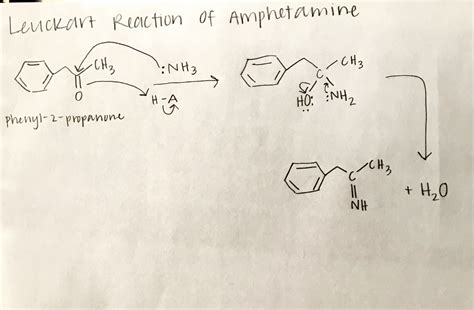 Leuckart Reaction Amphetamine