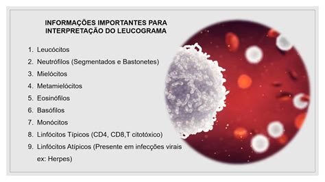 Leucogramas Segmentados Alto