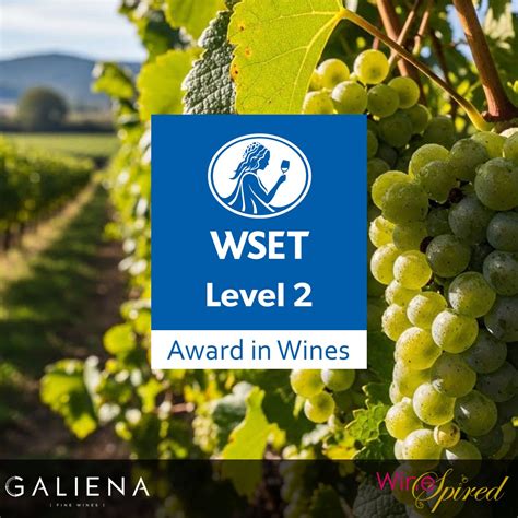 level 2 award in wines and spirits