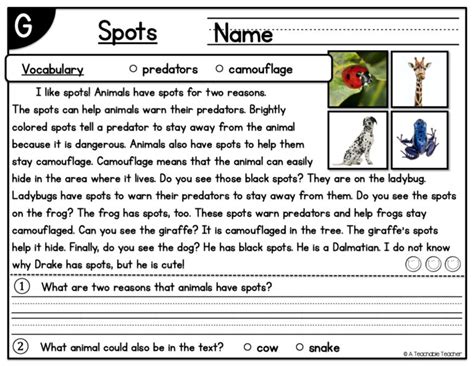 Level G Reading Passages