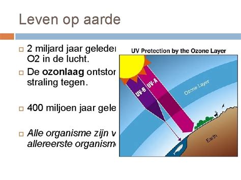 leven op aarde