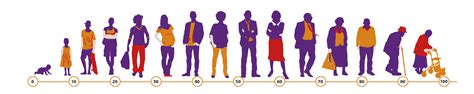 levensloop cohort