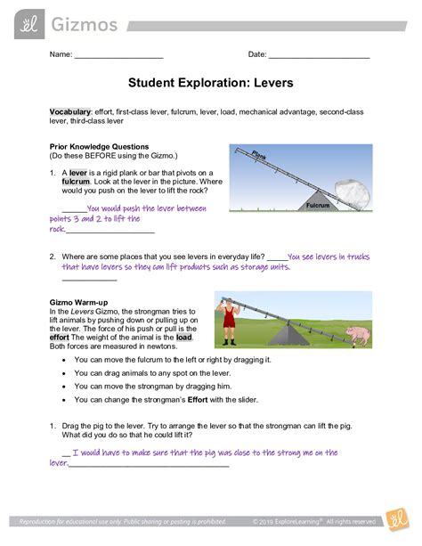levers lab gizmo answer key