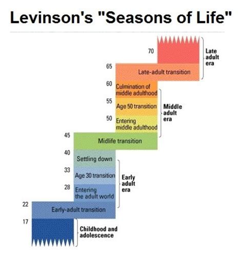 Levinson Theory Of Adulthood Development