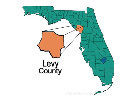 levy county florida