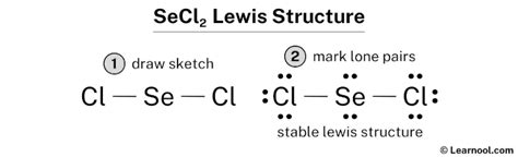 Lewis Structure For Secl2