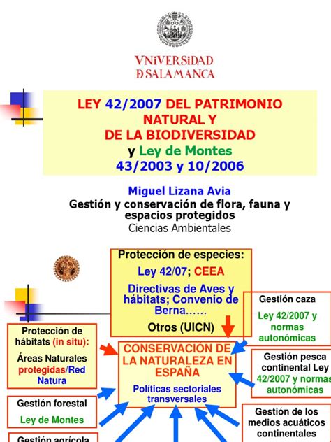 Ley 42 2007