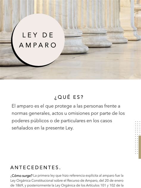 Ley De Amparo Pdf