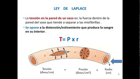 Ley De Laplace