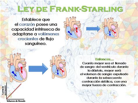 Ley De Starling