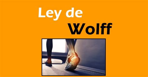 Ley De Wolff