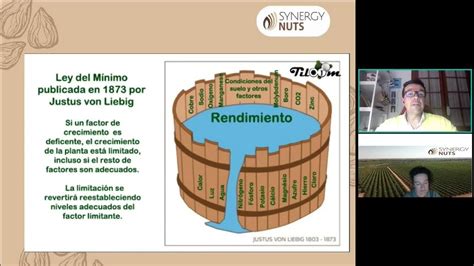 Ley Del Minimo