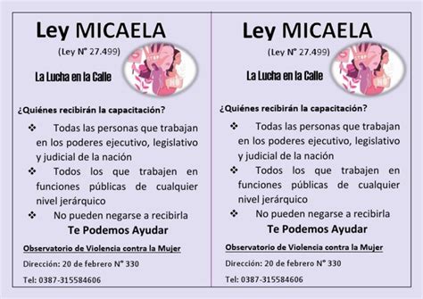Ley Micaela Pdf