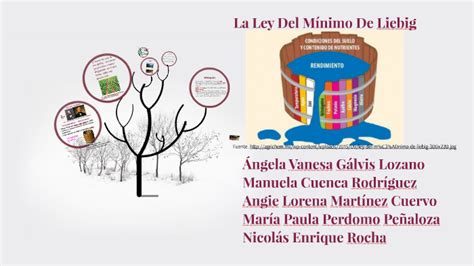 Ley Minimo De Liebig