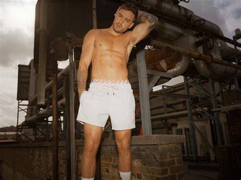 liam payne nude