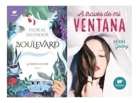 Libro A Través De Mi Ventana
