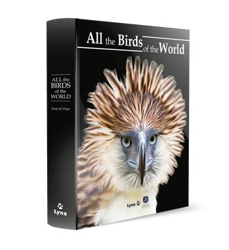 Libro All